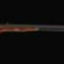 John Brown's Sharps Rifle
